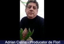 Primăvara din sere – Adrian Călina