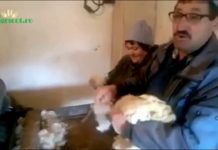 Lana de oaie, putin valorificata