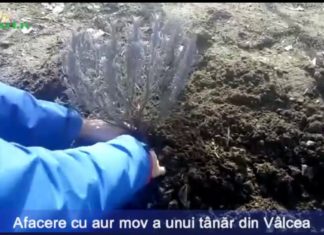 Afacere cu aur mov a unui tânăr din Vâlcea