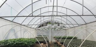 Agricultură după modelul grecesc