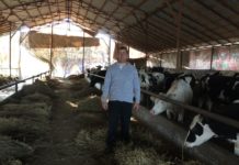 Credite pentru tinerii agricultori