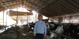 Credite pentru tinerii agricultori