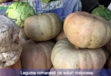 Legume romanesti pe soluri nisipoase