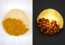 Lâna, prețuită de o arhitectă din Gorj