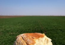 Pâine coaptă pe vatră, după o rețetă de sute de ani