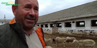 Abatoarele mobile, soluția salvatoare pentru crescătorii de animale