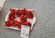 Au apărut cireșele românești