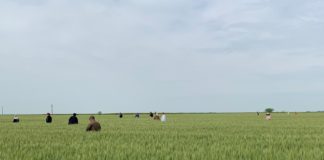 Proiect pentru revitalizarea agriculturii