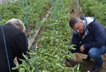 Întâlniri tematice cu fermierii