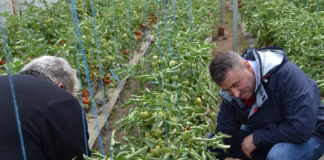 Întâlniri tematice cu fermierii