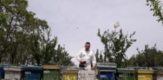 Miere mai scumpă anul acesta din cauza vremii