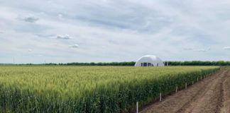 Fermieri din toată țara, așteptați la Caracal