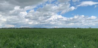 An favorabil pentru cultura de mazăre