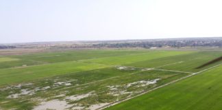 Orezăria din Rojiște, investiție de peste 2 milioane de euro