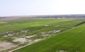 Orezăria din Rojiște, investiție de peste 2 milioane de euro