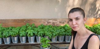 Afacere cu busuioc genovez