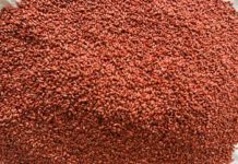 Sămânța de grâu de la Caracal, tratată în premieră pentru o producție și mai bună