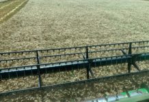 Guvernul a aprobat banii pentru subvențiile APIA