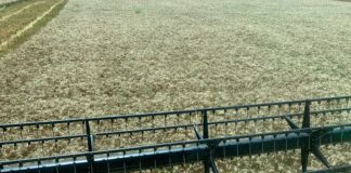 Guvernul a aprobat banii pentru subvențiile APIA