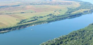 Bani pentru împăduriri din 16 septembrie