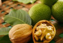 Nucul altoit se produce la Stațiunea de Cercetare Pomicolă din Vâlcea