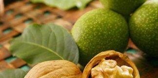 Nucul altoit se produce la Stațiunea de Cercetare Pomicolă din Vâlcea