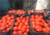 Tot ce trebuie să știți despre ajutorul de minimis pentru tomate 2020