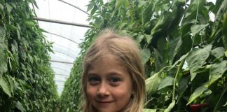 “Ne-am întors din Spania pentru a investi în pământul românesc!” -agricultură performantă după modelul spaniol-Familia Badea din localitatea Ghindeni