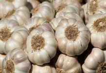 Tot ce trebuie să știți despre subvenția pentru usturoi în 2020