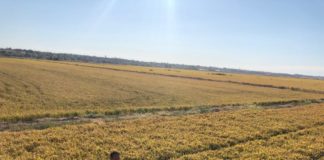 ”Noul fermier”, primă de instalare de 100.000 de euro