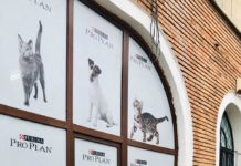 Prima bancă de sânge pentru animale din Oltenia este la clinica One Hope