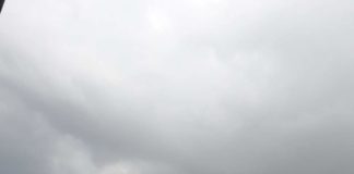 “Plățile pentru subvențiile agricole vor continua”, a declarat ministrul Agriculturii, Adrian Oros