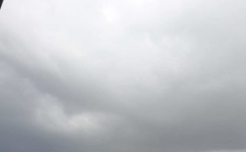 “Plățile pentru subvențiile agricole vor continua”, a declarat ministrul Agriculturii, Adrian Oros