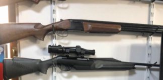 Vânătoarea de la A la Z. Cine și cum se poate obține permis de armă