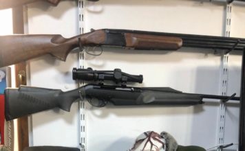 Vânătoarea de la A la Z. Cine și cum se poate obține permis de armă