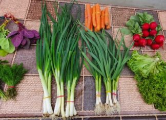 Ministrul Agriculturii susține că pieţele trebuie să rămână deschise. Autoritățile pregătesc o nouă ordonanță militară