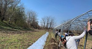 Studenţii Universităţii din Craiova au înfiinţat o seră la Stațiunea Didactică Banu Mărăcine