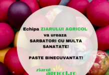Echipa Ziarului Agricol vă urează sarbători cu multă sănătate!