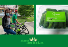 Studenții implicați în proiectul Grena au început valorificarea legumelor cultivate în seră. Aceștia distribuie castraveții cornichon pe bază de comandă. Comenzile sunt duse la clienți tot de colegii lor studenți voluntari cu bicicletele.
