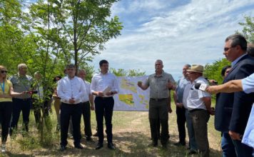 Ministerul Mediului, Apelor și Pădurilor poate investi până la 10 milioane de lei în terenurile degradate din România, inclusiv în combaterea deșertificării