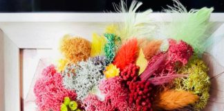 O tanara din Targu-Jiu realizeaza obiecte de decor si tablouri cu si din licheni stabilizati.