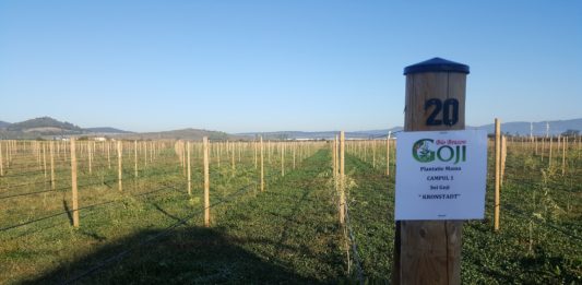 La mulți ani, Goji Bio Brașov!