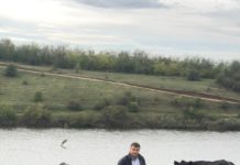 Povestea de succes a fermierului Marian Geanta, crescator de Black Angus in localitatea Ghindeni, Dolj