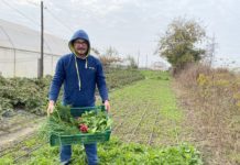 Localitatea Isalnita recunoscuta pentru numarul mare de legumicultori! In serele lui Manuel Nicolae este primavara. De sarbatori vom avea trufandale pe masa