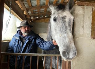 La doar 30 de km de Craiova, in localitatea Bobicesti-Olt, Dan Dicu a construit un „colt de rai”. Creste 15 cai de rasa, organizeaza plimbari haiducesti in padure si iubeste sa-i invete pe cei mici sa calareasca