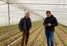 Agricultura “ca la carte” in fermele familiei Dragu din localitatea Albesti-Dolj