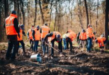 Angajații Clariant Romania implicați activ în acțiunea de plantare de copaci, în cadrul „Lunii Plantării Arborilor“