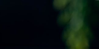 DailyGoji – Doza ta zilnică de sănătate. Un produs 100% Romanesc marca Goji Bio Brasov