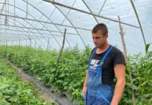 Zmeura de Bădoși are cea mai buna savoare ne-a declarat fermierul Ionuț Remus Dan. ”Sa știți că aceste fructe sunt foarte sanatoase. Atat timp cat fetița mea de 2 ani în fiecare zi manânca zmeură din fermă, vă dați seama ca aceste produse sunt foarte bune „