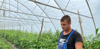 Zmeura de Bădoși are cea mai buna savoare ne-a declarat fermierul Ionuț Remus Dan. ”Sa știți că aceste fructe sunt foarte sanatoase. Atat timp cat fetița mea de 2 ani în fiecare zi manânca zmeură din fermă, vă dați seama ca aceste produse sunt foarte bune „